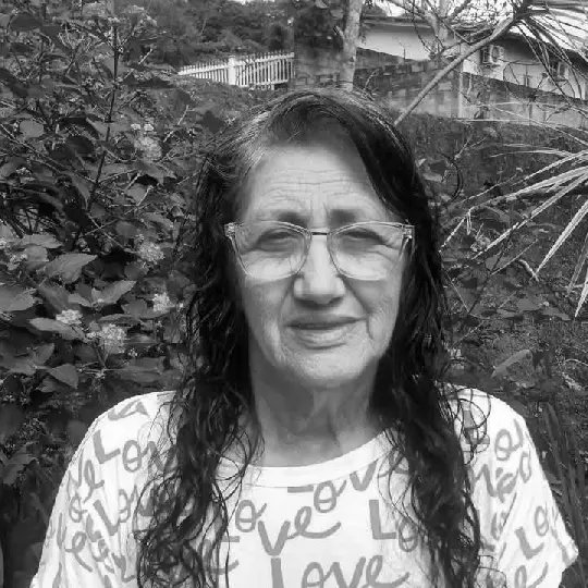 Idosa morre após ataque de marimbondos em SC