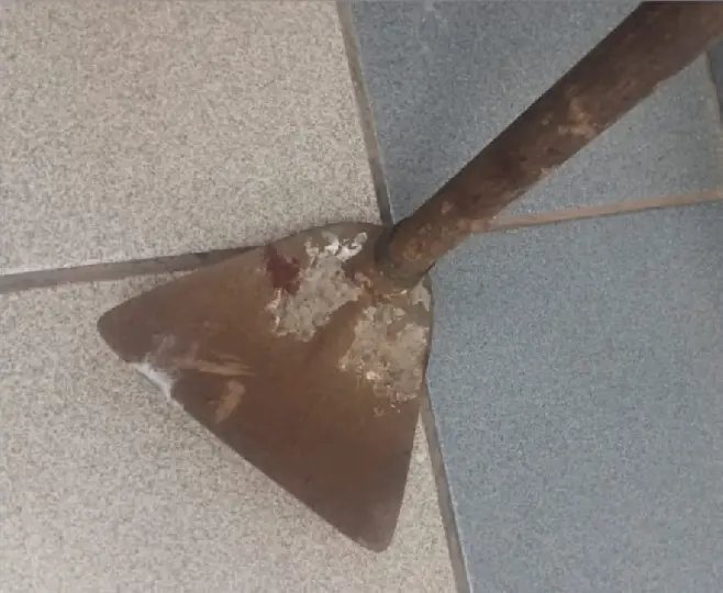 Filho é preso por agredir mãe com golpe de enxada após briga familiar