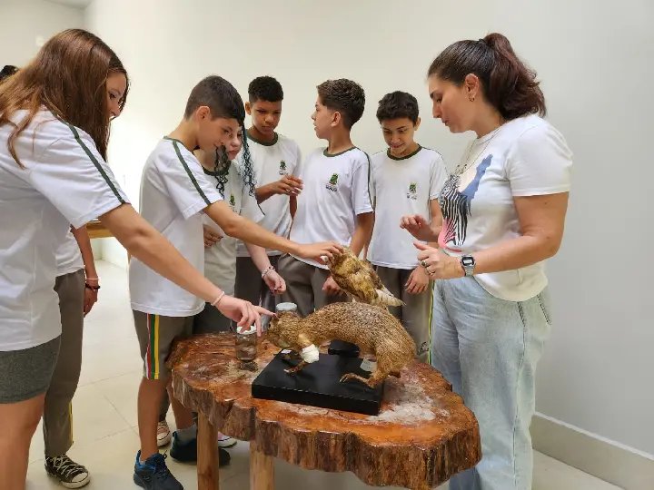 Alunos da escola Alberto Pretti participam de aula diferente na Chácara Edith
