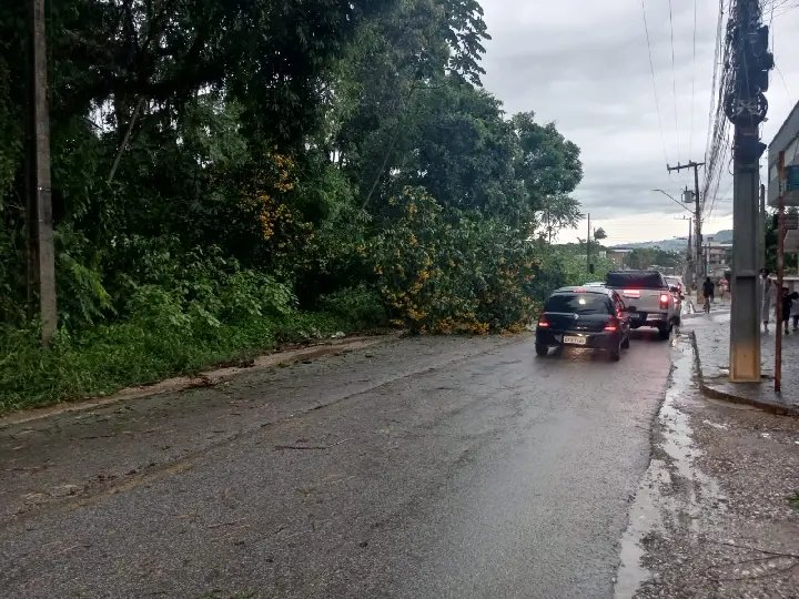 Temporal atinge Brusque e deixa 31 mil imóveis sem energia elétrica