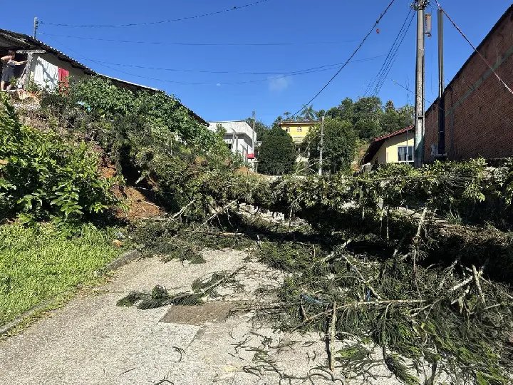 Defesa Civil atualiza número de ocorrências relacionadas à chuva desta terça
