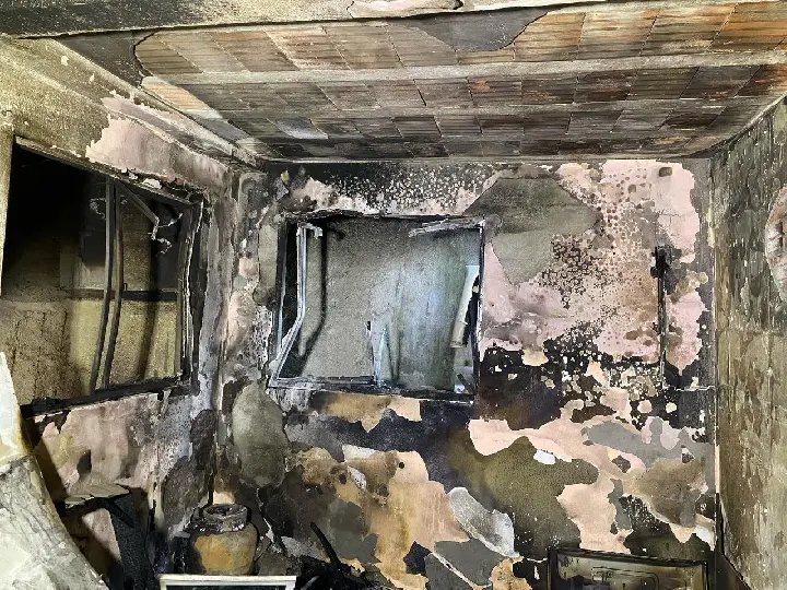 Gatinho é resgatado com vida durante incêndio em casa de Blumenau