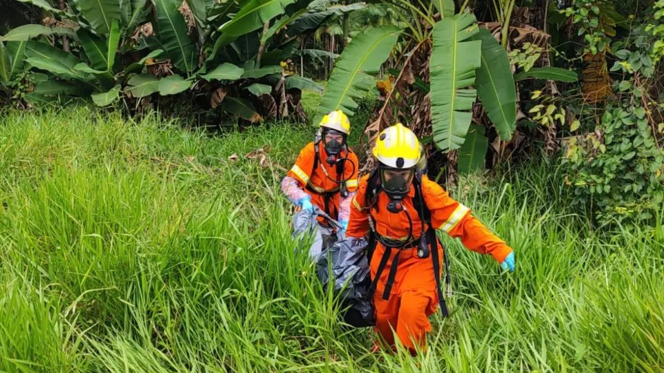 Corpo é encontrado em área de mata fechada em Gaspar