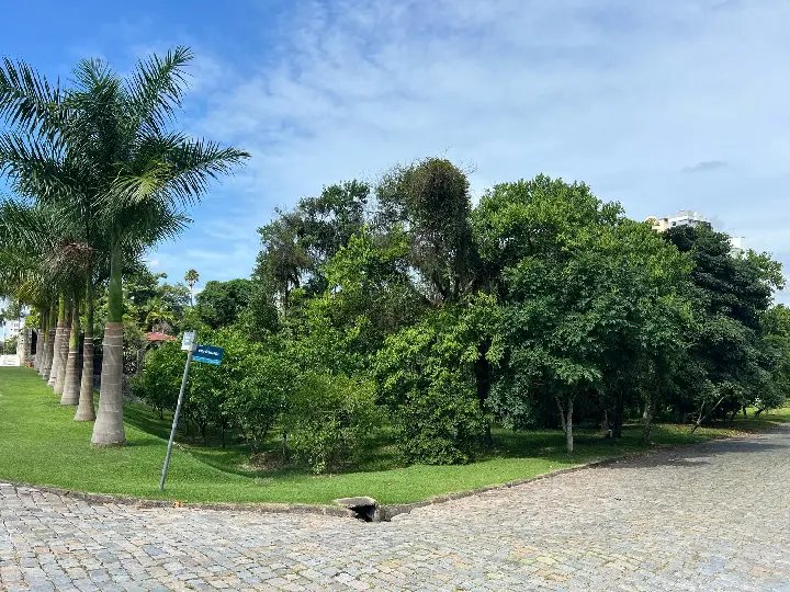 Moradores se opõem à construção de posto de saúde em área verde em Brusque