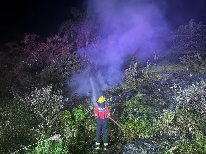 Bombeiros utilizam 3 mil litros de água para combater fogo em vegetação