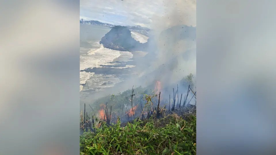 Área de vegetação de responsabilidade da Marinha do Brasil é atingida por incêndio, em Itajaí