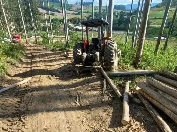 Trabalhador tenta parar trator desgovernado e morre atropelado