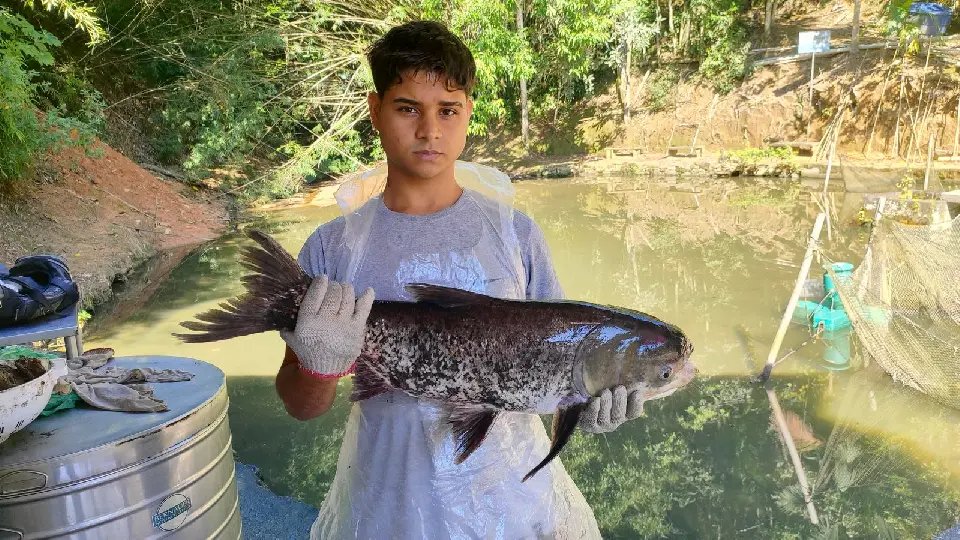 Procura por carne de peixes aumenta na Semana Santa e ajuda produtores locais