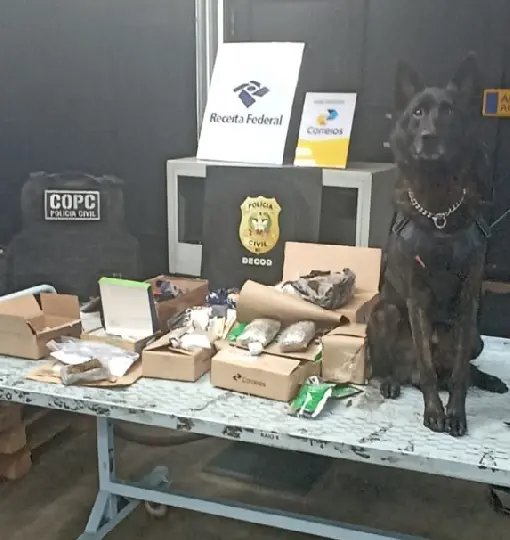 Polícia e Receita Federal barram envio de drogas pelos Correios