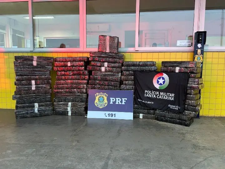 PRF e PMRv apreendem 720 kg de maconha em SC