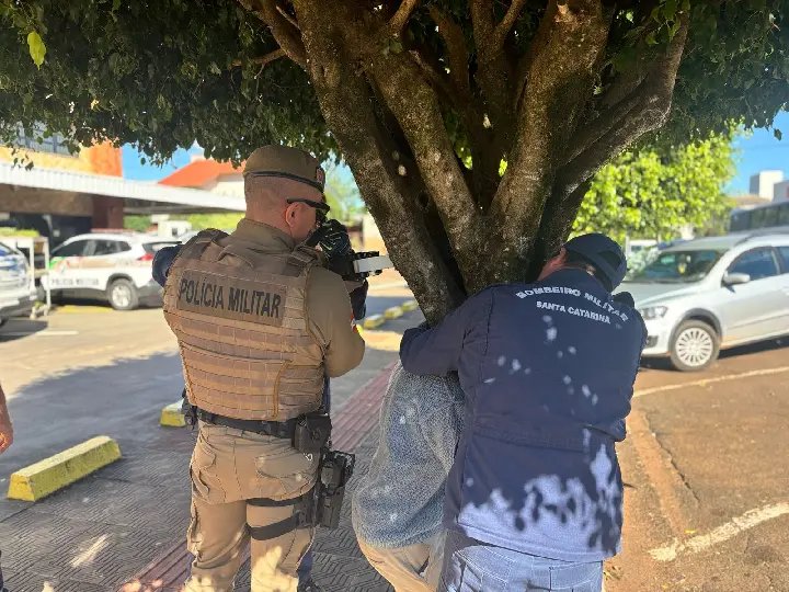 (VÍDEO) Homem embriagado é resgatado após prender cabeça em árvore