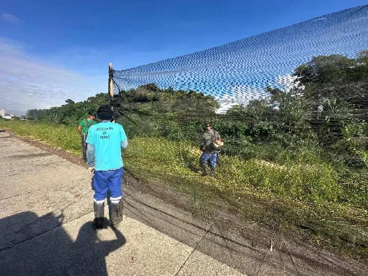 Trabalho de limpeza e roçada são feitos na Avenida Beira Rio