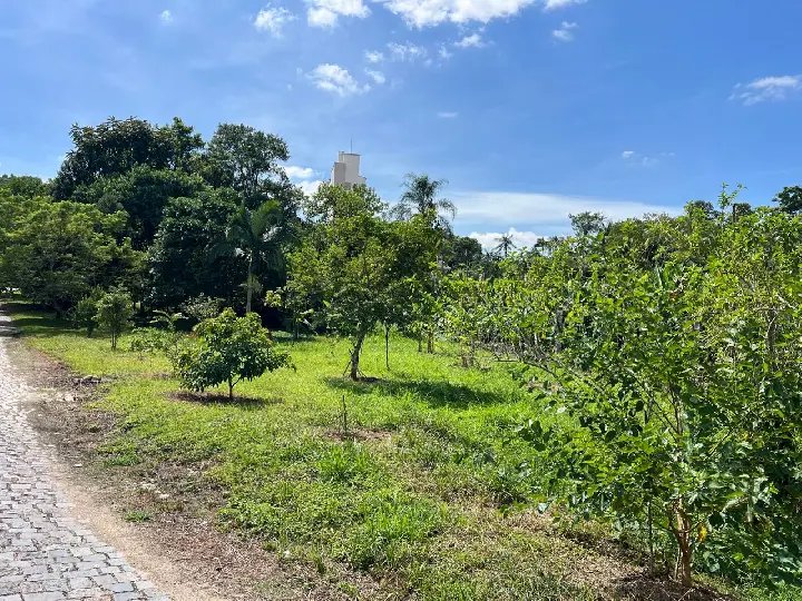 Prefeitura de Brusque contesta decisão judicial e afirma que buscará alternativas para UBS