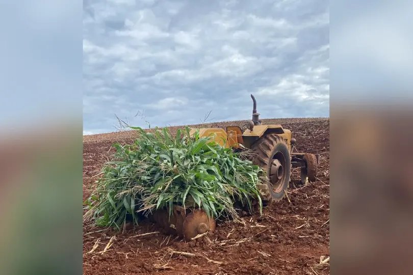 Idoso é atropelado por trator e morre com ferimentos graves em lavoura
