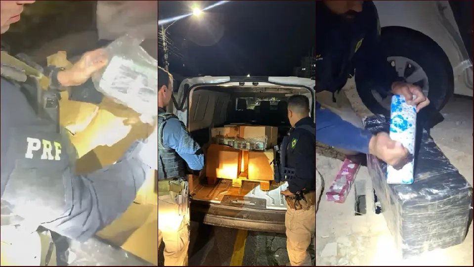 Rodovias de SC viram cenário de fuga, mordida de cachorro e toneladas de droga