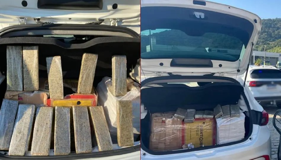 Fardos de maconha são apreendidos em operação na BR-101