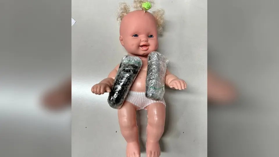 "Bebê reborn" com drogas dentro é apreendido em operação em SC