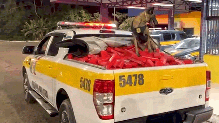 "Pneus Verdes": Polícia apreende 560 Kg de maconha ocultos em caminhão
