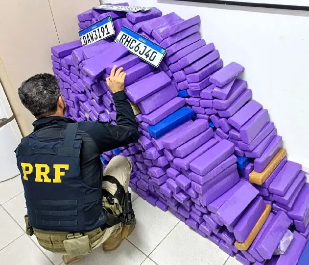 Quase 600 quilos de maconha são apreendidos em SC