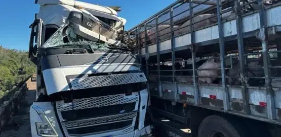 (VÍDEO) Acidente entre dois caminhões deixa ferimentos graves 