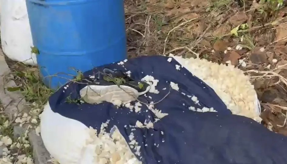 (VÍDEO) “Vivemos no meio do lixo”: moradores se sentem abandonados no Rio Branco