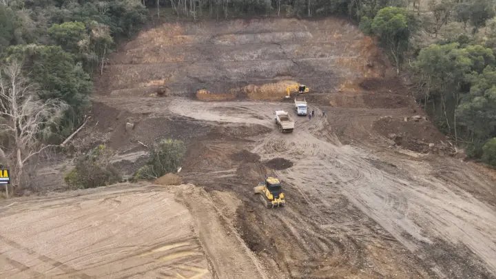 Vegetação nativa é desmatada com uso de máquinas de grande porte