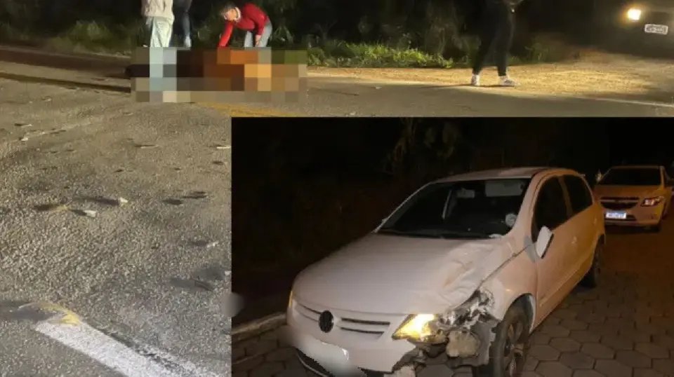 Carro com placas de Brusque colide contra boi em São João Batista