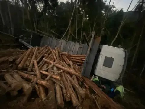 Motorista é resgatado após caminhão de tora despencar em barranco de 10 metros