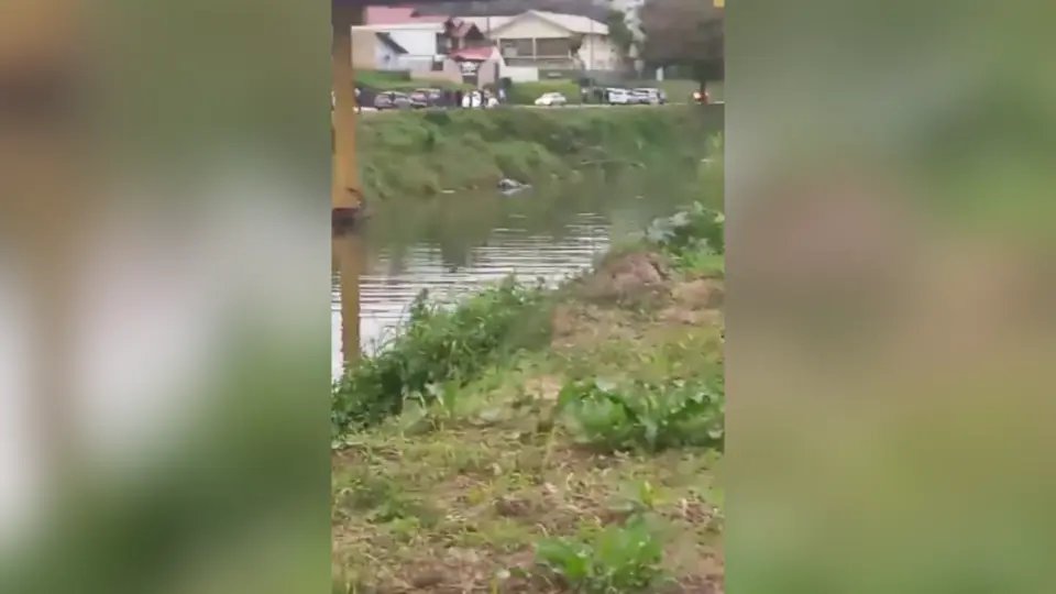 Motorista que caiu com carro no Rio Itajaí-Mirim se salvou sozinho