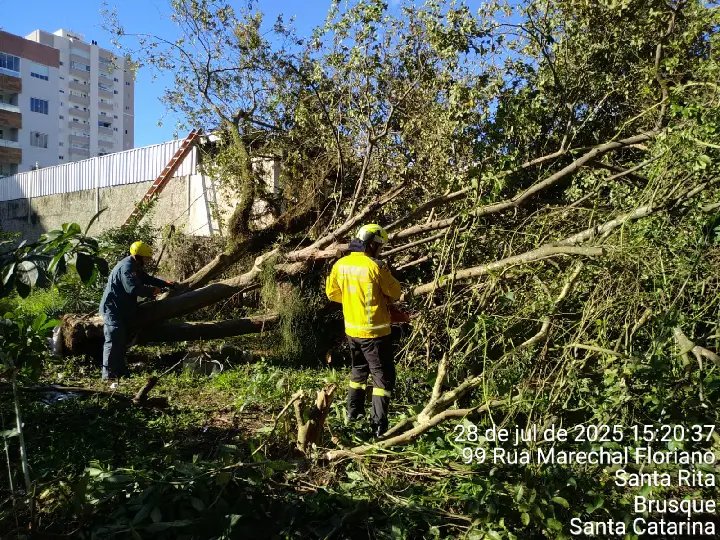 Forte ventania derruba árvore sobre casa no Santa Rita