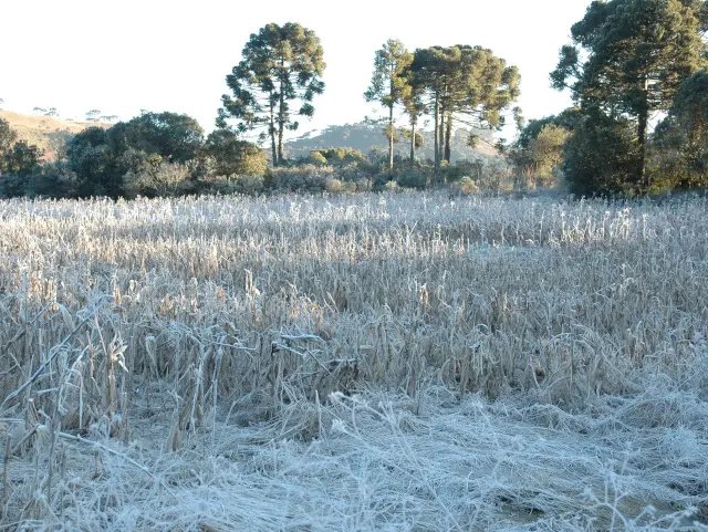 Sol predomina em Santa Catarina, mas manhã segue gelada em diversas regiões
