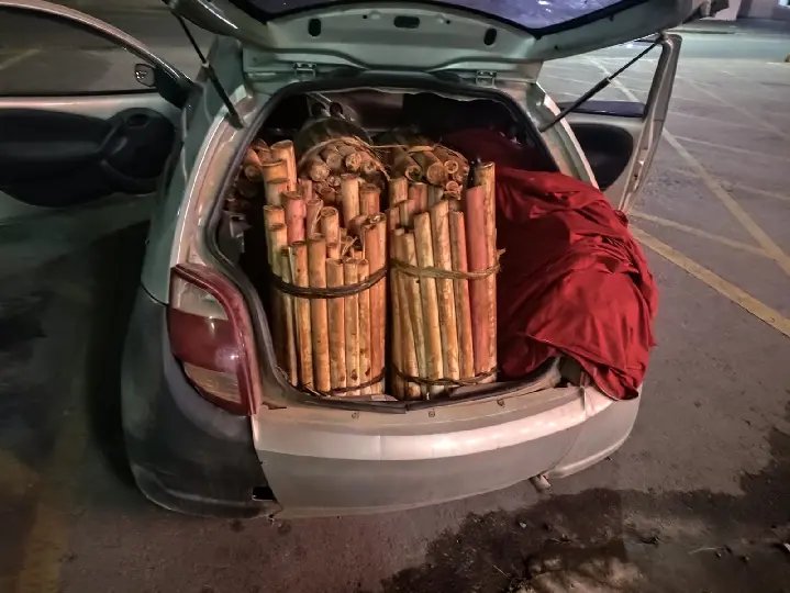 PM intercepta carga de palmito extraído ilegalmente