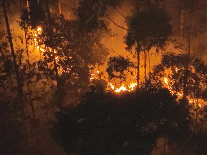 Chamas assustam moradores, mas incêndio é apagado no bairro Velha