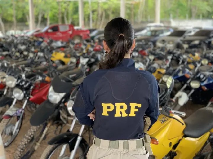 Mais de 2 mil veículos vão a leilão em SC com lances iniciais de R$ 200