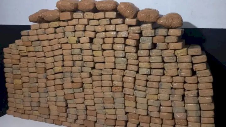 Jeep roubado com placas clonadas é flagrado com 300 kg de drogas