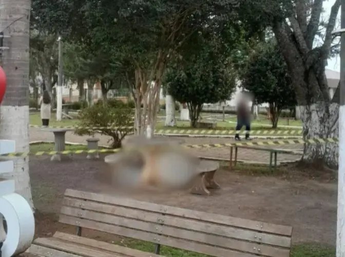 Adolescente de 15 anos é apreendido suspeito de matar morador de rua