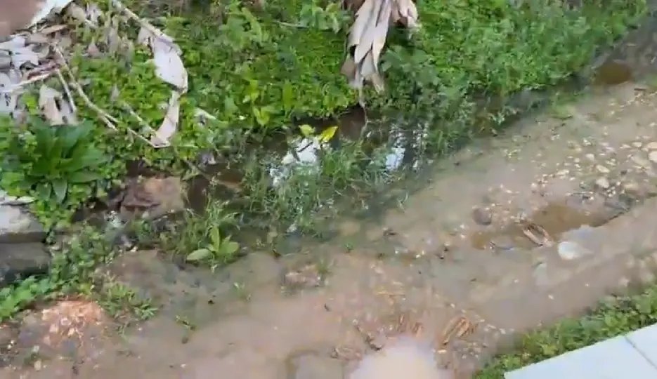 (VÍDEO) Esgoto a céu aberto preocupa moradores da Ponta Russa