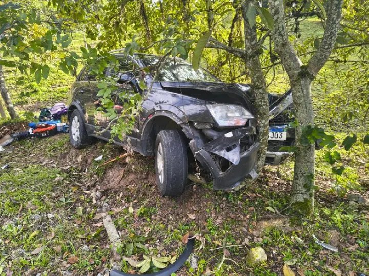 Motorista embriagado inicia fuga, colide contra árvore e é preso