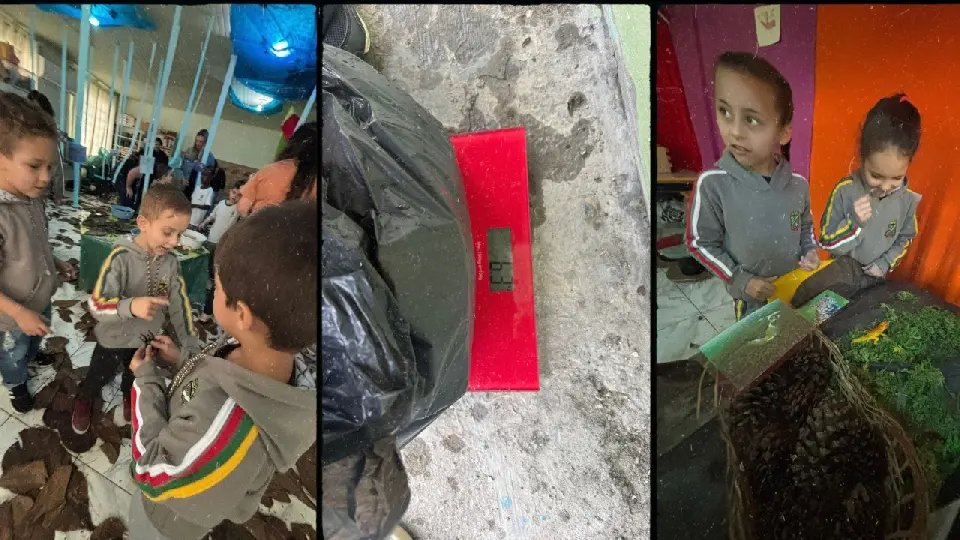 (VÍDEO) Alunos do Pré II transformam pesquisa escolar em lição de sustentabilidade