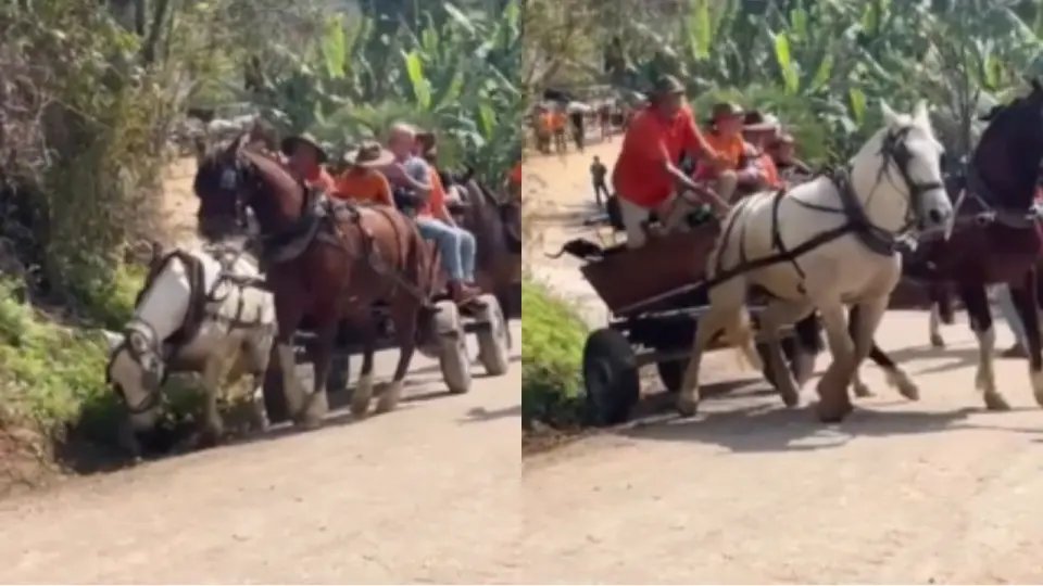 (VÍDEO) Cavalgada rumo à Nova Trento é marcada por maus-tratos