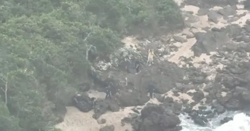 Reality da vida real: pai leva filho para floresta e acaba enquadrado por crime