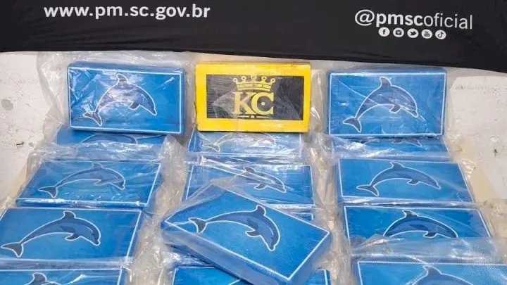 Abordagem revela carregamento milionário de cocaína