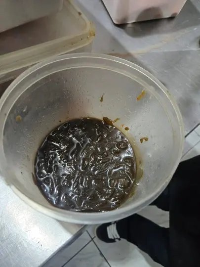 Comida estragada e indícios de pragas resultam na interdição de restaurante em Itajaí