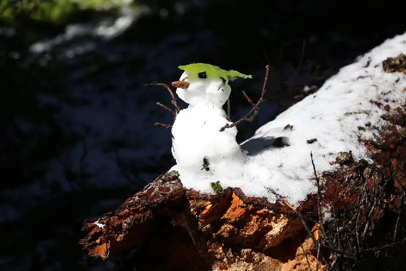 Inverno com cara de primavera: SC terá calor e tempo firme nesta terça