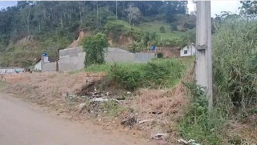 (VÍDEO) “Já matei cobra aqui dentro”: morador relata risco em área tomada pelo mato