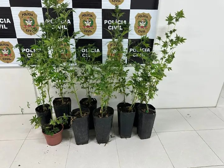 Polícia deflagra operação contra o tráfico e prende suspeitos em SC