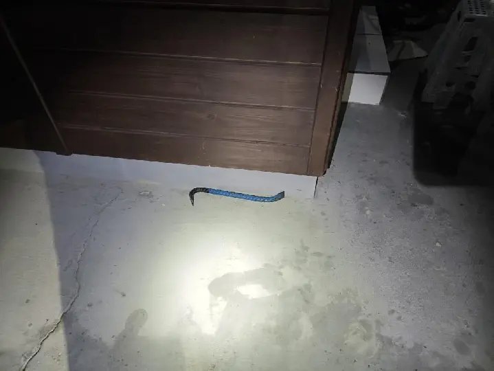Ladrão é contido por populares após arrombar casa