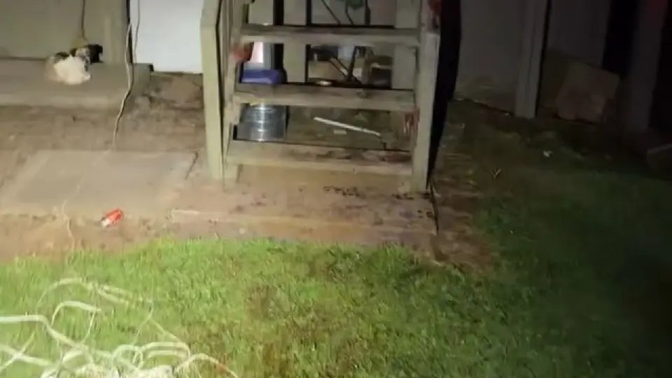 Pai é morto a golpes de facão pelos próprios filhos