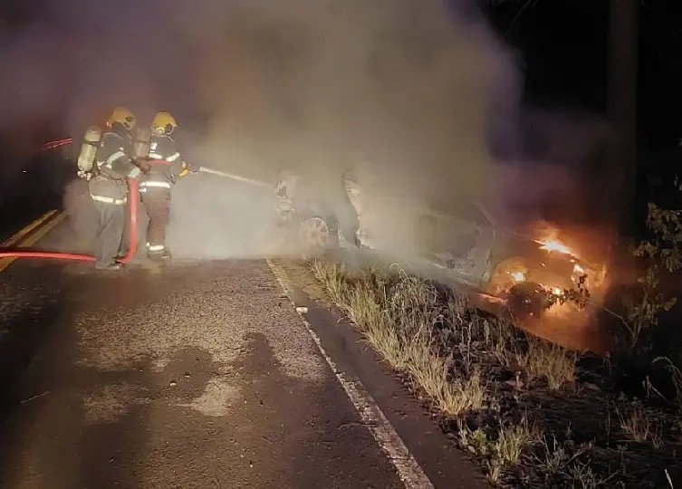 Motorista desvia de animal, bate em árvore e veículo incendeia