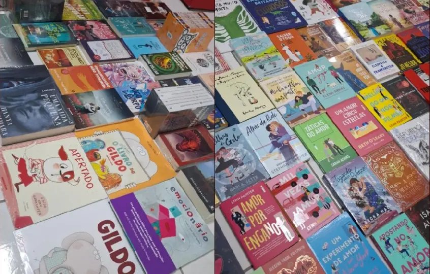 Biblioteca Pública de Guabiruba adquire 165 novos livros para o acervo